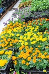 Similar image 22438769