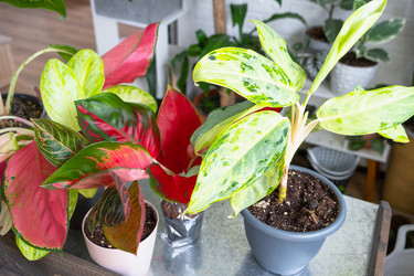 Similar image 22438771