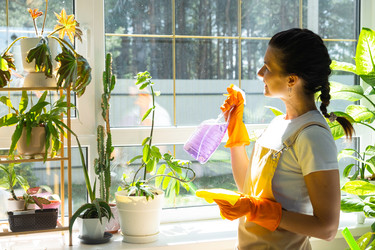 Similar image 22438772