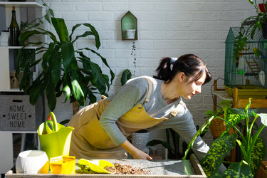 Similar image 22438773