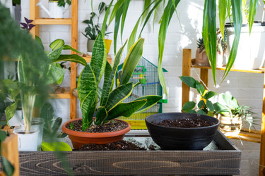 Similar image 22438779