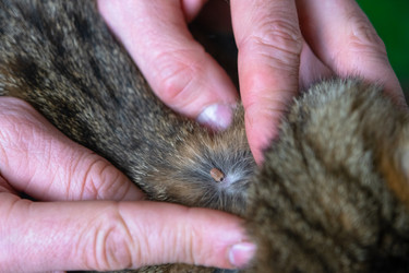 Similar image 22438782