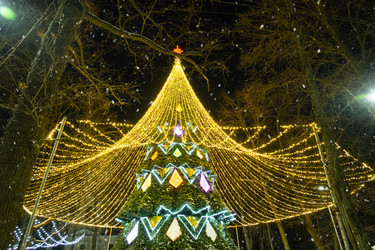 Similar image 22438783