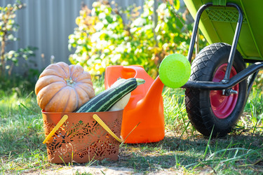 Similar image 22438790