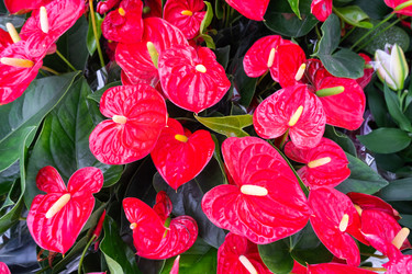 Similar image 22438797