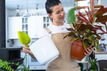 Similar image 22438801