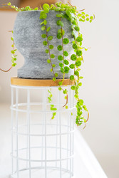 Similar image 22438811