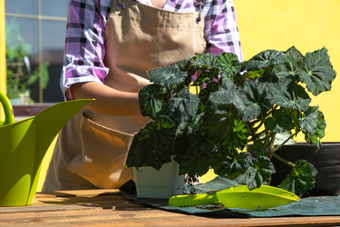 Similar image 22438819