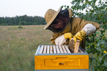 Similar image 22438821