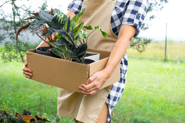 Similar image 22438823