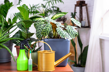 Similar image 22438833