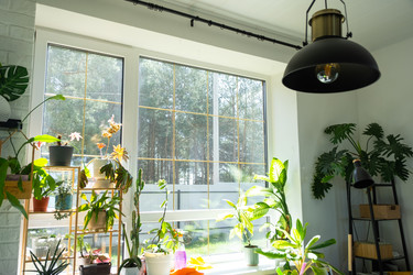 Similar image 22438834