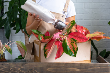 Similar image 22438843