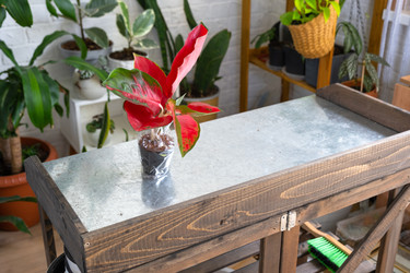 Similar image 22438851