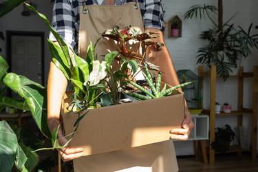 Similar image 22438854