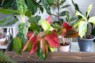 Similar image 22438855