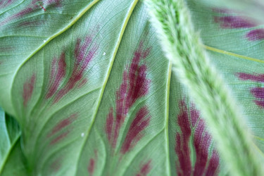 Similar image 22438873