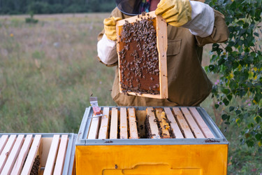 Similar image 22438880