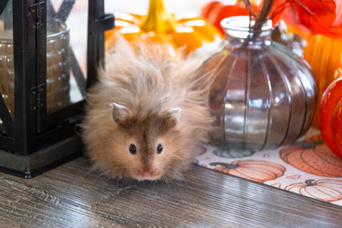 Similar image 22438887