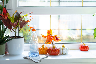 Similar image 22438888