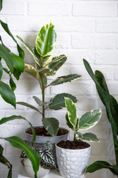 Similar image 22438899