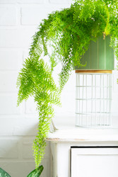 Similar image 22438900