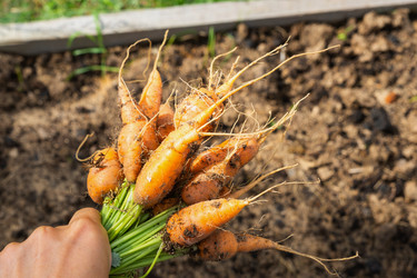 Similar image 22438903