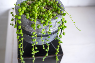 Similar image 22438907