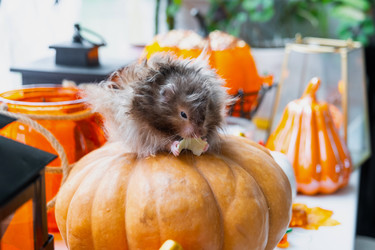 Similar image 22438910