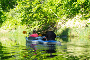 Similar image 22438911