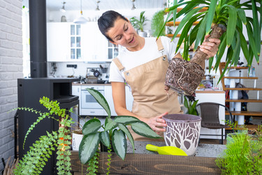 Similar image 22438920