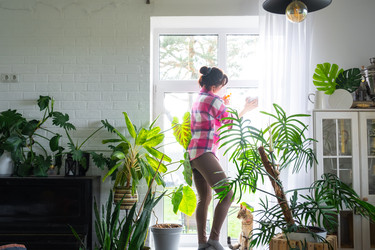 Similar image 22438936