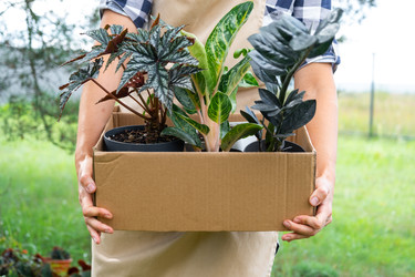 Similar image 22438938