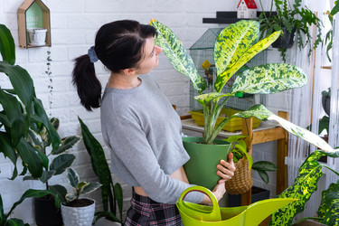 Similar image 22438941