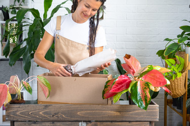 Similar image 22438945