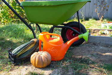 Similar image 22438954