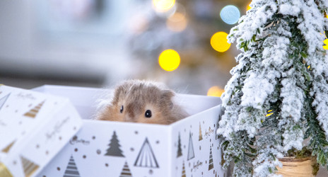 Similar image 22438961