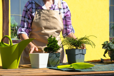 Similar image 22438969