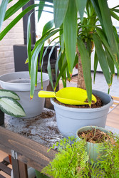 Similar image 22438971