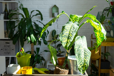 Similar image 22438978