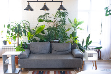 Similar image 22438982