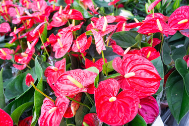 Similar image 22438987