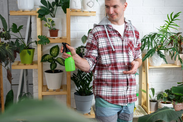 Similar image 22438991