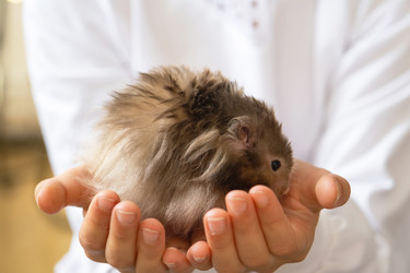 Similar image 22438996