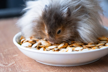 Similar image 22438998