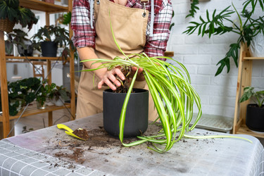 Similar image 22439001