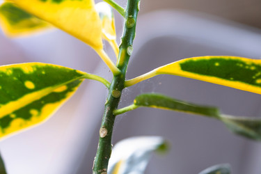 Similar image 22439007