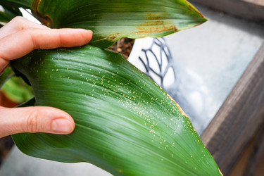 Similar image 22439020