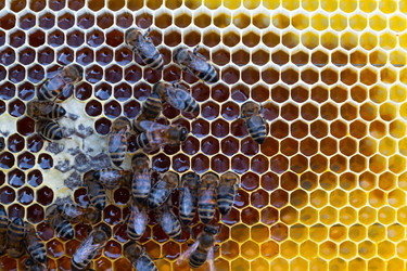 Similar image 22439023