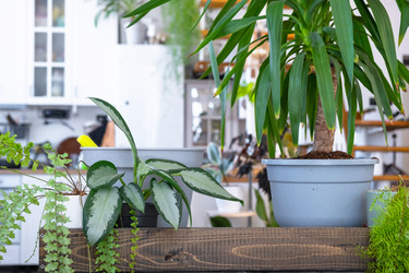 Similar image 22439025